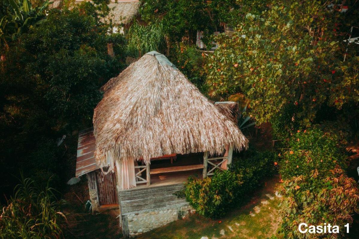 Ecolodge Tubagua Puerto Plata Buitenkant foto