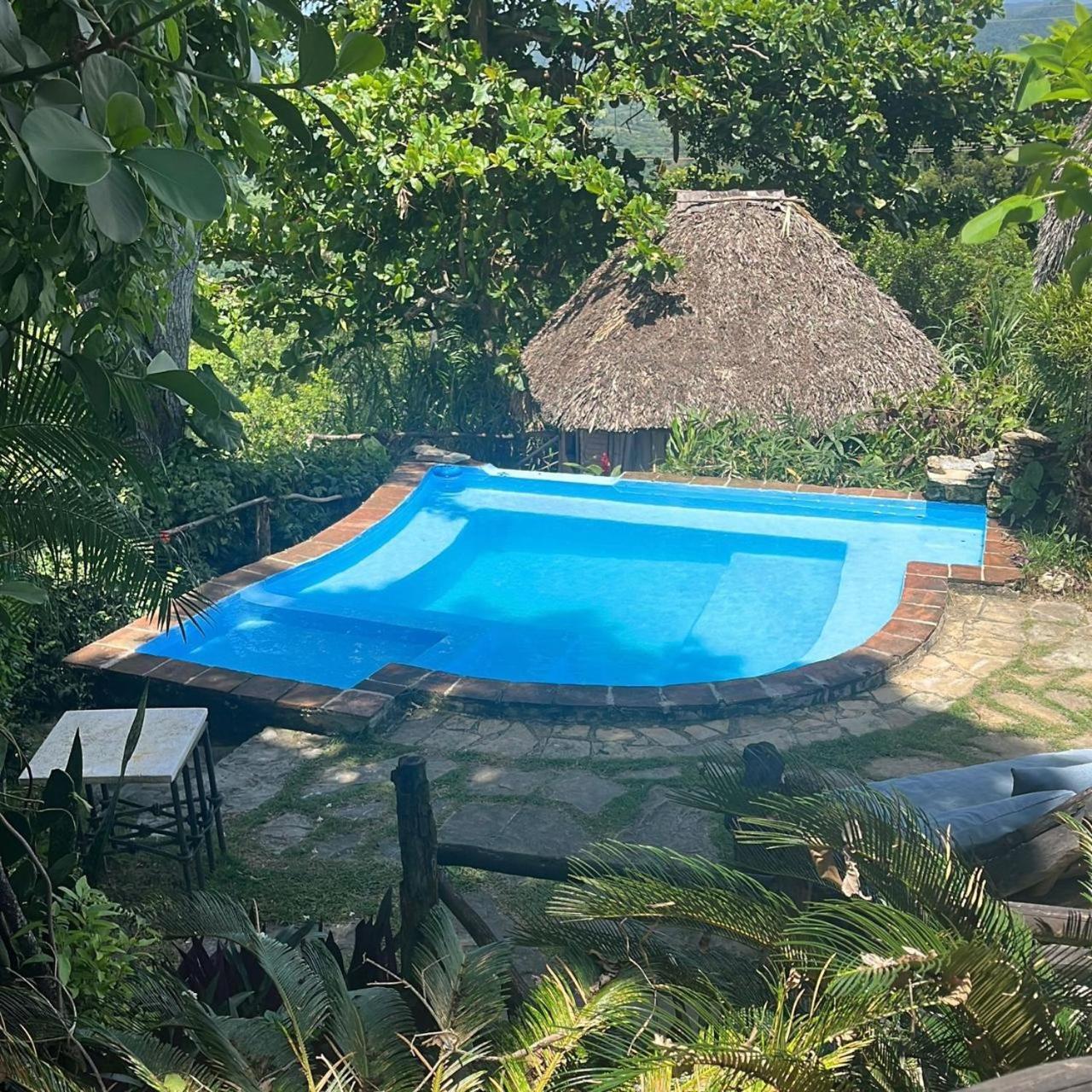 Ecolodge Tubagua Puerto Plata Buitenkant foto